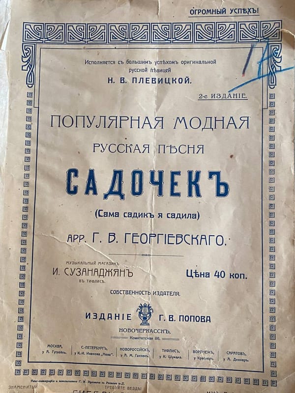 Популярная модная русская песня Садочек исполняется с большим успехом оригинальной русской певицей Н.В