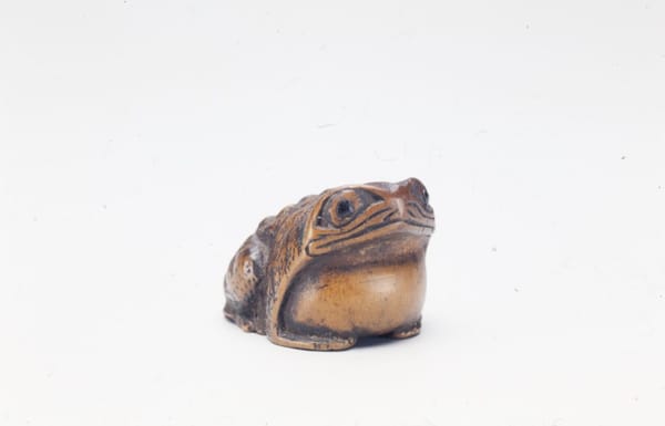 It is Wednesday, my dudes 🐸