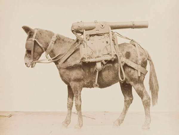 Мул c 80-мм пушкой, 1880-е, Франция