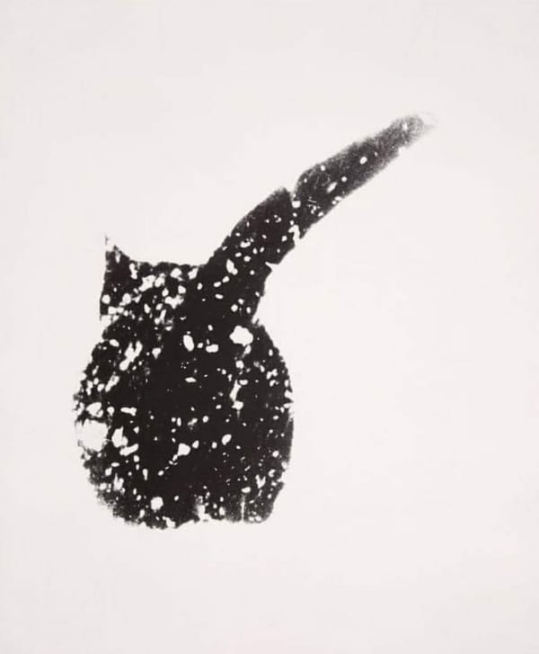 Кот Нерон в снегу, 1953 год
