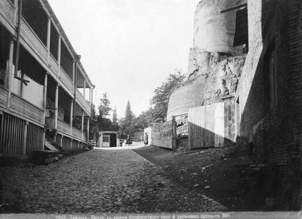 Ботанический сад, Тифлис (Тбилиси), 1880-1900-е гг