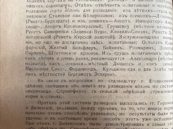 Кто-то ошибочно полагает, что алма-атинский апорт это исконный сорт яблок в Заилийском Алатау
