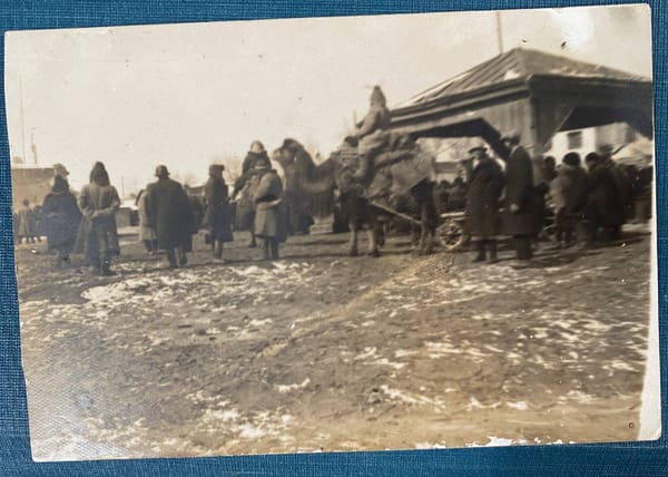 Верблюд на ярмарке в городе Верном