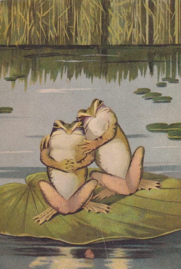 Последняя среда этого лета! 🐸