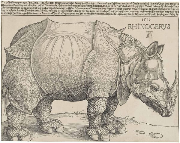 Альбрехт Дюрер «Носорог» Гравюра на дереве, 1515 г