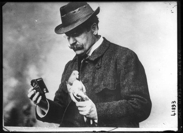 🕊Фотоснимки, сделанные голубем, 1908