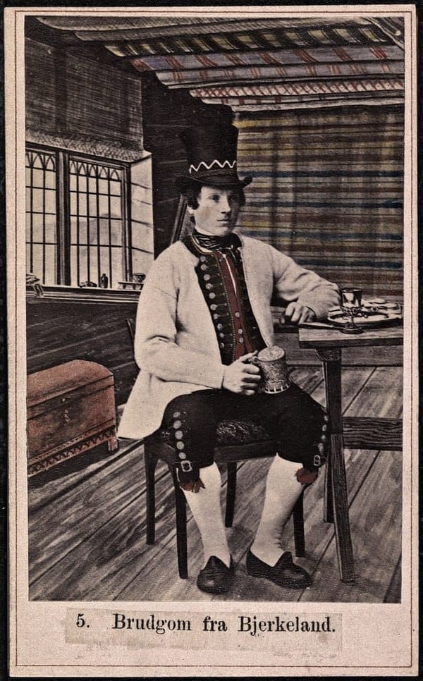 Типы норвежцев, XIX в