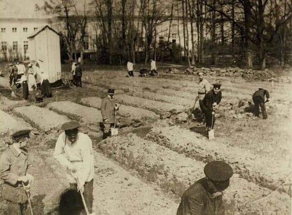 Николай II после отречения и ареста в Царском Селе за работой на огороде вместе с приближенными, 1917 г