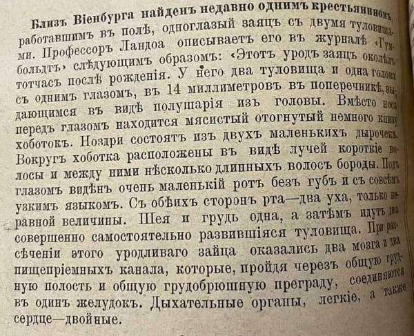 Вместо новостей геополитических предлагаем действительно захватывающую заметку из выпуска «Нивы» конца XIX века об одноглазом зайце с двумя туловищами:
