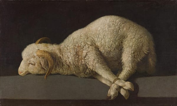 «Agnus Dei», Франсиско де Сурбаран, 1635—1640 Коллекция музея Прадо