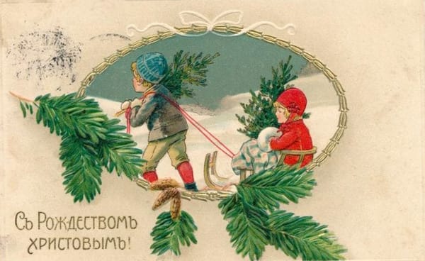 Вы уже выкинули елку или убрали ее на балкон?